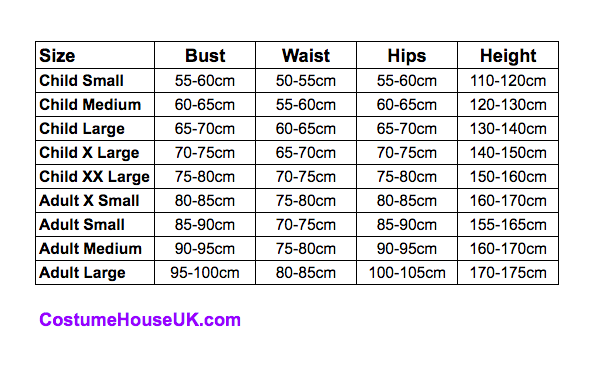 Schoolgirl Costume (Dark Grey) - Image 2